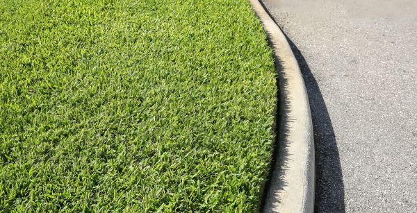Cost of Street Curb Repair in Montgomery